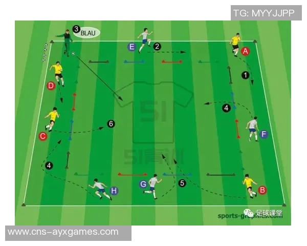 八人足球阵型的战术解析与实战应用技巧探讨
